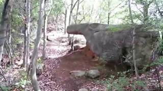 軍神社登山口からの杉山登山