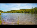 timelapse mühlweiher saarbacherhammer ludwigswinkel germany