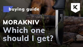 Morakniv knives buying guide: which Morakniv should I get?