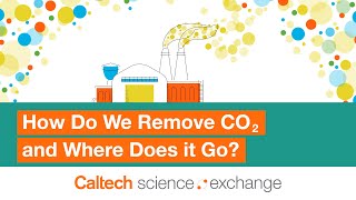 How Do We Remove CO2, and Where Does it Go?
