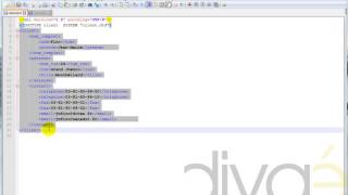 XML DTD client