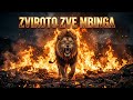Dzekwedu — Zviroto Zve Mbinga