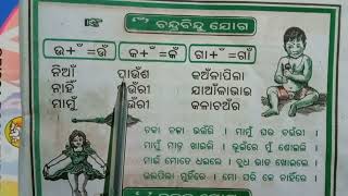 ଓଡ଼ିଆ ବର୍ଣ୍ଣବୋଧ ବହି ଭାଗ ୧୫ - 'ଁ' ଚନ୍ଦ୍ରବିନ୍ଦୁ ଯୋଗ କରି ଶବ୍ଦ ଗଢ଼ି ଶିଖିବା ||