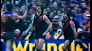 FNWB.com.au - 1983: Round 14, Essendon v Fitzroy ABC2