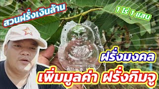 EP.144 เพิ่มมูลค่าให้ฝรั่งกิมจู นำฝรั่งกิมจูใส่แม่พิมพ์ผลไม้ | ไร่คำกวี เกษตรอินทรีย์ วิถีพึ่งตนเอง