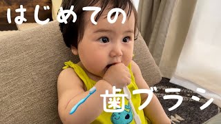 こはるvlog#38 はじめての歯ブラシ【生後9ヶ月,赤ちゃん】my first toothbrush