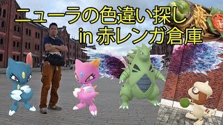 【ポケモンGO】横浜の赤レンガ倉庫でニューラの色違い探しでGOフェスと日比谷のリベンジだ！