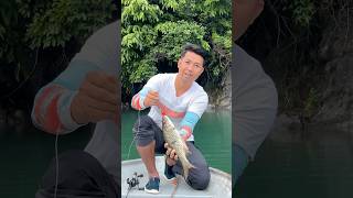 Sebarau Tasik Kenyir #casting #fypシ゚ #hampala #sebarau #takkumpau #tasikkenyir #topwater