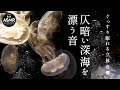 ぐっすり眠れる立体音響 水の音 海の音「仄暗い深海を漂う音」睡眠用BGM 作業用BGM 勉強用BGM