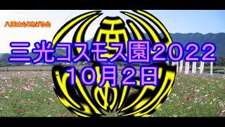 三光コスモス園２０２２　１０月２０日の様子です。