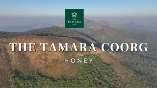 Exploring Pure Honey at The Tamara Coorg: A Naturalist's Insights | Apiculture | Pure Coorg Honey