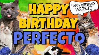 Happy Birthday Perfecto! Crazy Cats Say Happy Birthday Perfecto (Very Funny)