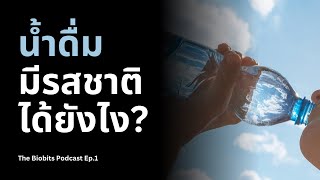 น้ำดื่มมีรสชาติได้ยังไง? | The Biobits Podcast Ep.1