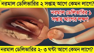 নরমাল ডেলিভারির কয়েক ঘন্টা আগে কেমন লাগে? | ডেলিভারির কয়েক দিন আগে কেমন অনুভূতি হয় | ডেলিভারির লক্ষণ