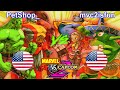 Marvel vs Capcom 2: New Age of Heroes - PetShop_ vs mvc2isfun