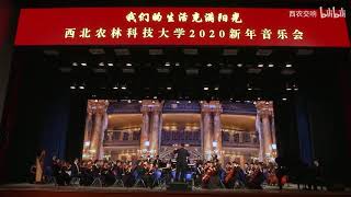 西北农林科技大学2020新年音乐会 （P9  歌剧魅影）