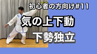 太極拳　気の上下動　下勢独立　初心者の方向け気功と太極拳＃１１　竹内太極拳