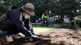 春に会いましょ　チューリップ球根植え込み　大通公園で冬支度