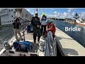 learn to use a bridle safe docking saga47swan sailing