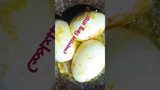 ডিম আর আলু দিয়ে আমার পছন্দের রান্না #vlog #শ্রুতি #