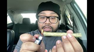 BANANA LEAF BLUNT HOTBOX!!! ARE THESE BETTER THAN BACKWOODS?!? #bananaleaf #backwoods #blunts