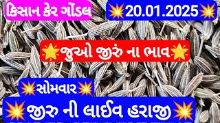 આજના જીરુ ના ભાવ | જીરુ ના ભાવ | જીરુ નો ભાવ jeera na bajar bhav | Gondal marketing yard 20-01-2025