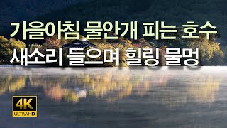 가을 아침 물안개 피는 호수에서 새소리 들으며 힐링 물멍하세요 | 힐링 영상 | 힐링 사운드 | 마음이 편안해지는 풍경 | 32분 후 어두운 화면 | 4K