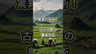 驚異の技術！古代中国の農業技術 #古代中国 #農業技術 #文明史