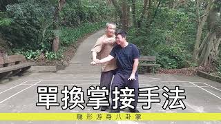 BaGua Zhang 八卦掌~龍形用法 #八卦掌#形意拳 #五行拳 #傳統武術 #養生#氣功#BaGuaZhang#kungfu#Taichi #xingyiquan#qigong