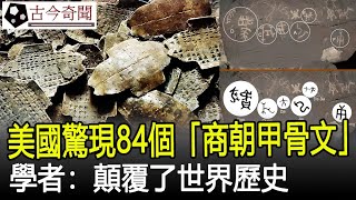 驚人發現！美國發現84個「商朝甲骨文」，學者：顛覆了世界歷史！#甲骨文#考古#古墓#奇聞#文物#出土#國寶#盜墓#古今奇聞