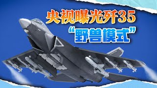 歼35不装了，开启12枚导弹野兽模式，打完敌舰后还能打10架敌机