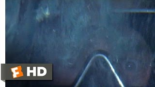 Jaws (1975) - Hooper in the Cage Scene (8/10) | Movieclips