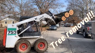 Bobcat 753 Helps Remove A Huge Silver Maple
