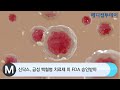 메디컬투데이tv 신닥스 급성 백혈병 치료제 미 fda 승인받아