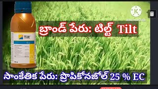 Tilt syngenta // Tilt Cristal crop care// ప్రొపికోనజోల్ 25 % EC