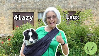 How to carry your puppy! Review of 4 Lazy Legs Pet Carrier!