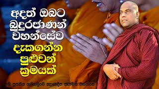 බුදුරජාණන් වහන්සේ වගේම සිවුරු පොරවපු, පාද තියපු හාමුදුරුවෝ | Galigamuwe Gnanadeepa Thero