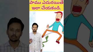 పాము ఎదురైతే ఇలా చేయండి కాటు వేయదు.#medicalfacts #snakebitetreatment #trending #shorts #telugufacts