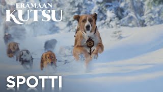 ERÄMAAN KUTSU | Spotti \