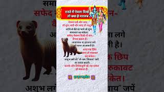 नेवला रास्ते में दिखे तो क्या है मतलब🤔 #astrology #vastuastro #vastutips #vairalvideo #viralshort