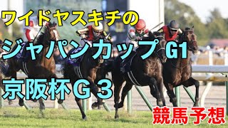 ワイドヤスキチの2023ジャパンカップ G1.京阪杯Ｇ３競馬予想