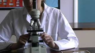 Calibration of a microscope