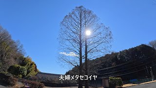 八王子市加住町１丁目をぐるり・後編～八王子ランチ☆ラーメン＆餃子//みちくさ＠宮下町