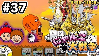 【にゃんこ大戦争】狂乱のバトルネコを倒してゲットする！【ゴウキゲームズ】Part37