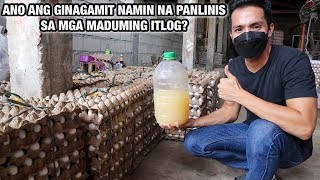 ANO ANG GINAGAMIT NAMIN NA PANLINIS SA MGA MADUMING ITLOG?