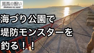 【神戸平磯海づり公園】タンコブ\u0026カゴ釣り！