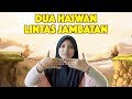 Dua Haiwan Lintas Jambatan