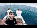 episode 18 kelp paddy madness yellowtail dorado