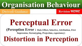 perception error in organisational behaviour, perception errors and distortion, perceptual error, ob