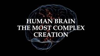 AMAZING || FACTS || ABOUT || HUMAN || BRAIN || Brain Feast